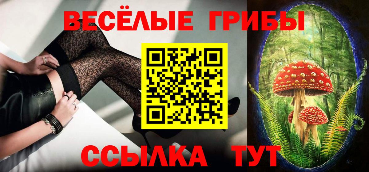 ГАШ  ГАШИШ  Елизово  Конопля  Кокаин  NBOMe  Меф МЯУ МЯУ кристаллы  Вход с VPN 
