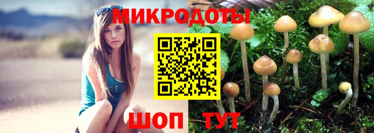 Елизово  Галлюциногенные грибы мухоморы  Вход с VPN  Галлюциногенные грибы прущие грибы 